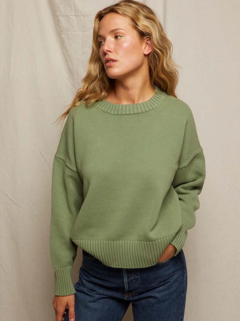 Perfectwhitetee Janet Cotton Crewneck Sweater Sage Green Boxy Relaxed XS NWT